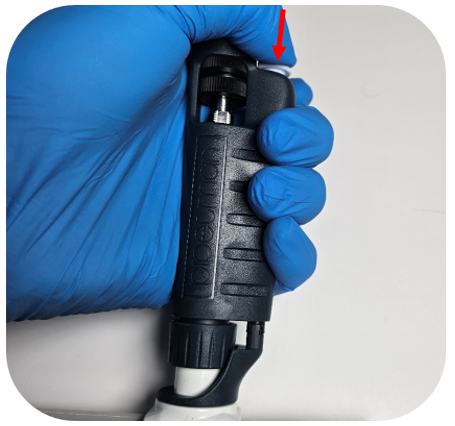 A gloved hand holds a Pipetman, pressing down on the ejector button as indicated by a red arrow.