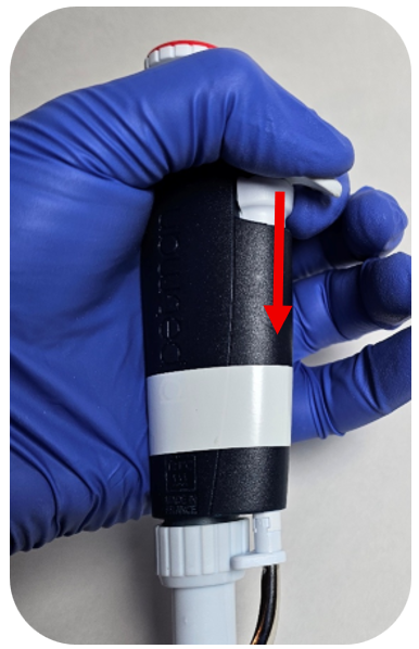 A gloved hand presses down the plunger of a Pipetman pipette, indicated by a red downward arrow.